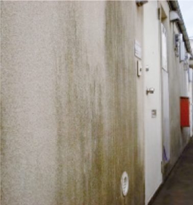 劣化画像